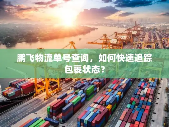鹏飞物流单号查询，如何快速追踪包裹状态？