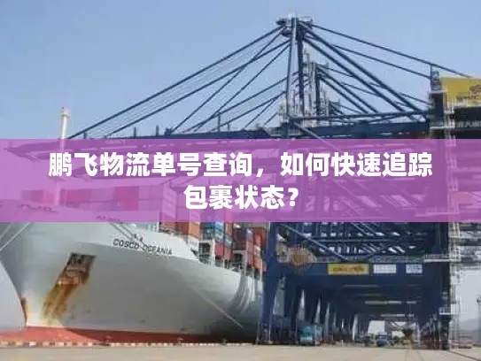 鹏飞物流单号查询，如何快速追踪包裹状态？