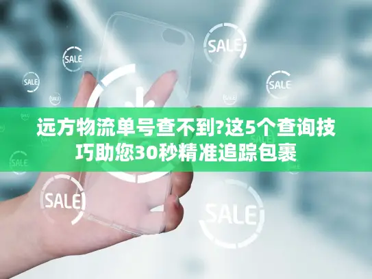 远方物流单号查不到?这5个查询技巧助您30秒精准追踪包裹