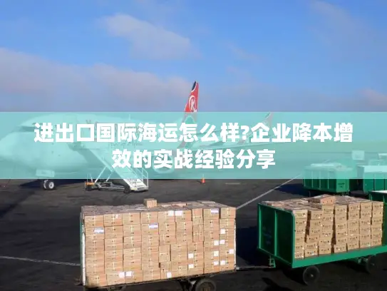 进出口国际海运怎么样?企业降本增效的实战经验分享