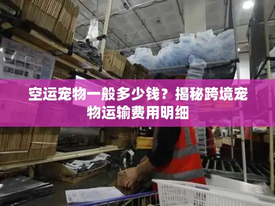 空运宠物一般多少钱？揭秘跨境宠物运输费用明细