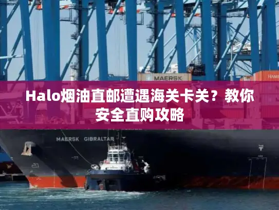 Halo烟油直邮遭遇海关卡关？教你安全直购攻略