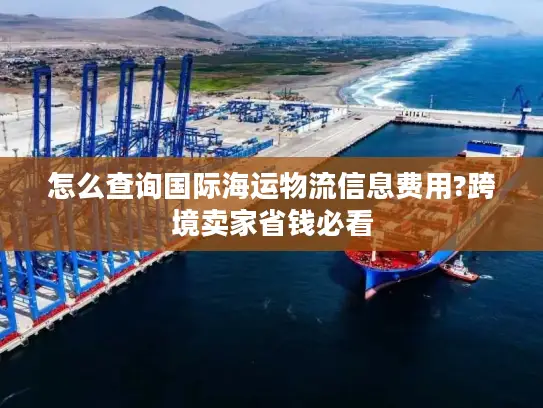 怎么查询国际海运物流信息费用?跨境卖家省钱必看