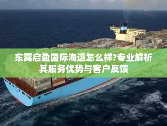 东莞启盈国际海运怎么样?专业解析其服务优势与客户反馈