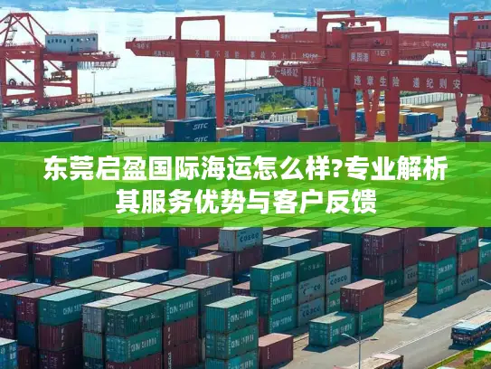 东莞启盈国际海运怎么样?专业解析其服务优势与客户反馈