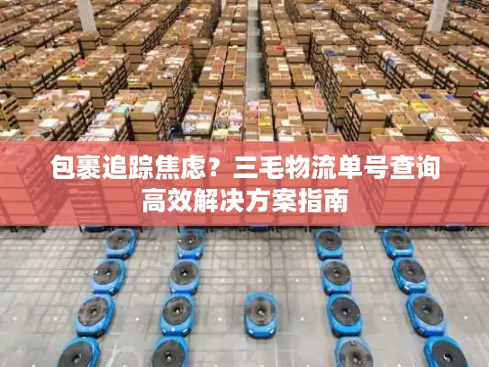 包裹追踪焦虑？三毛物流单号查询高效解决方案指南