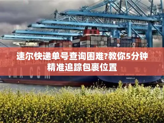 速尔快递单号查询困难?教你5分钟精准追踪包裹位置