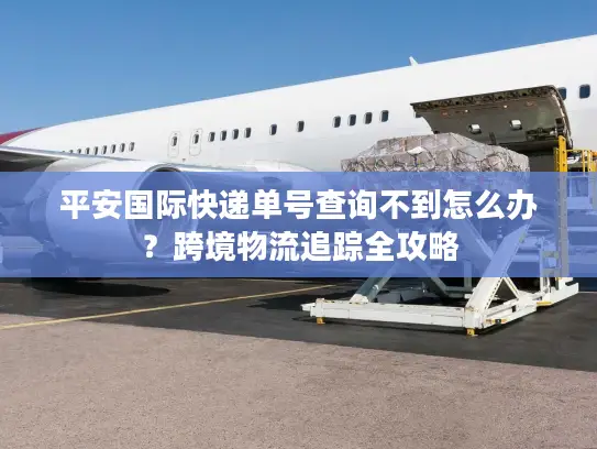 平安国际快递单号查询不到怎么办？跨境物流追踪全攻略