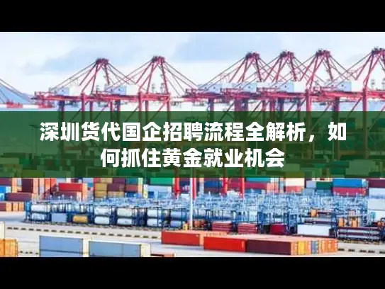 深圳货代国企招聘流程全解析，如何抓住黄金就业机会