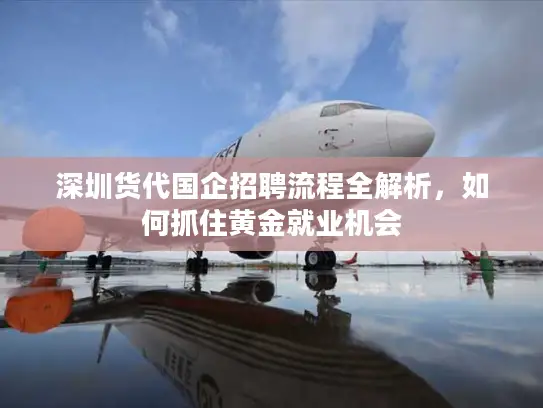 深圳货代国企招聘流程全解析，如何抓住黄金就业机会