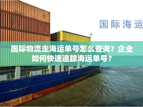 国际物流走海运单号怎么查询？企业如何快速追踪海运单号？
