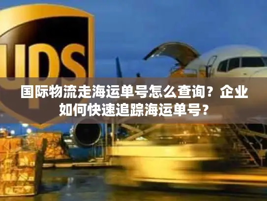 国际物流走海运单号怎么查询？企业如何快速追踪海运单号？
