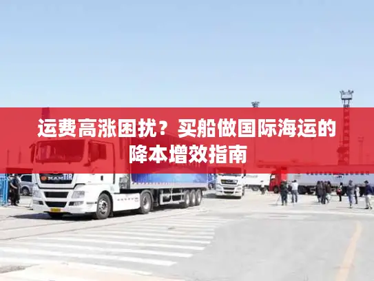 运费高涨困扰？买船做国际海运的降本增效指南