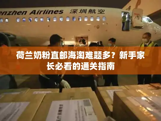 荷兰奶粉直邮海淘难题多？新手家长必看的通关指南