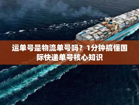 运单号是物流单号吗？1分钟搞懂国际快递单号核心知识