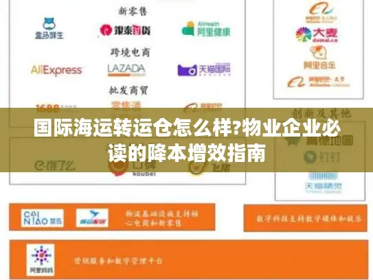 国际海运转运仓怎么样?物业企业必读的降本增效指南