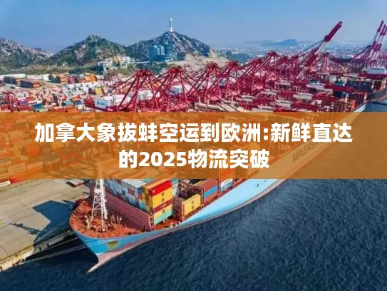 加拿大象拔蚌空运到欧洲:新鲜直达的2025物流突破