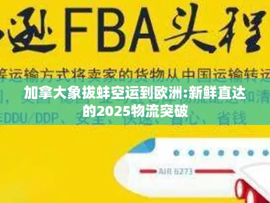 加拿大象拔蚌空运到欧洲:新鲜直达的2025物流突破