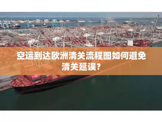 空运到达欧洲清关流程图如何避免清关延误？