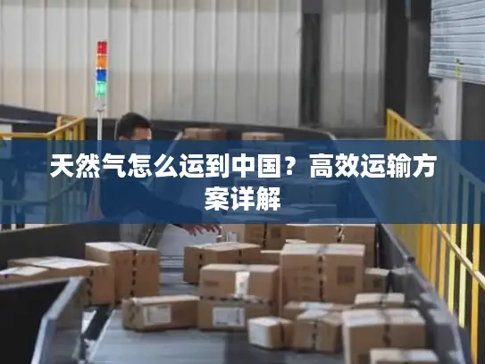 天然气怎么运到中国？高效运输方案详解