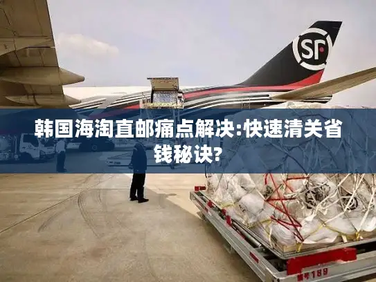 韩国海淘直邮痛点解决:快速清关省钱秘诀?