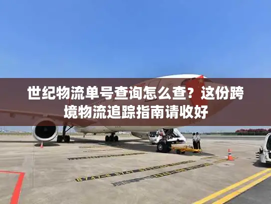 世纪物流单号查询怎么查？这份跨境物流追踪指南请收好