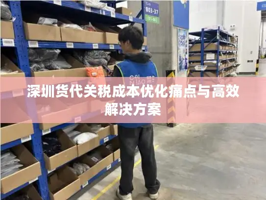 深圳货代关税成本优化痛点与高效解决方案