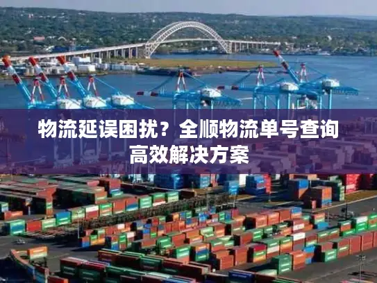 物流延误困扰？全顺物流单号查询高效解决方案