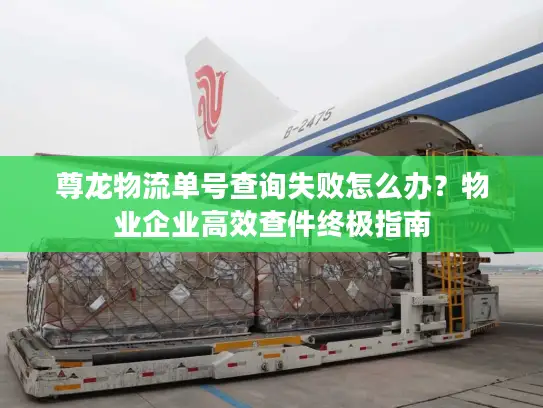 尊龙物流单号查询失败怎么办？物业企业高效查件终极指南
