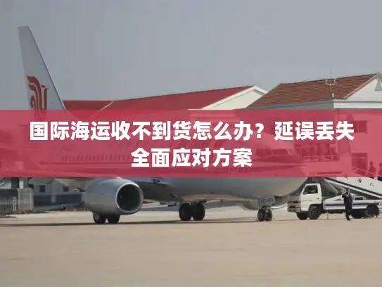国际海运收不到货怎么办？延误丢失全面应对方案