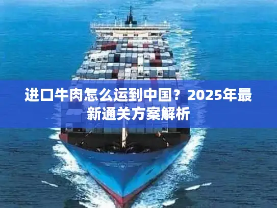 进口牛肉怎么运到中国？2025年最新通关方案解析