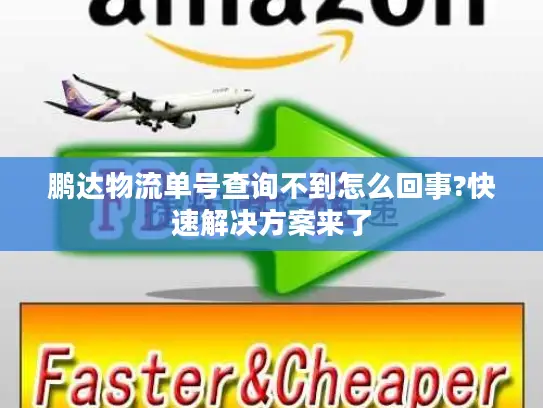 鹏达物流单号查询不到怎么回事?快速解决方案来了