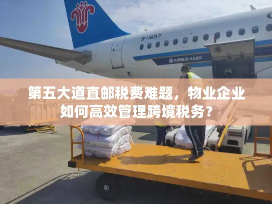 第五大道直邮税费难题，物业企业如何高效管理跨境税务？