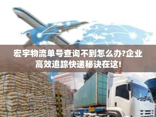 宏宇物流单号查询不到怎么办?企业高效追踪快递秘诀在这!