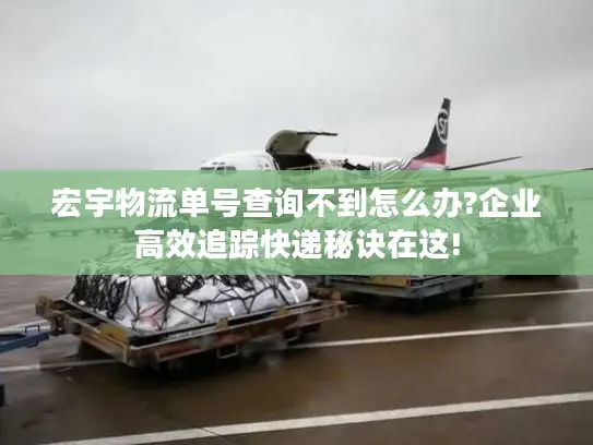 宏宇物流单号查询不到怎么办?企业高效追踪快递秘诀在这!