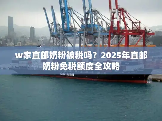 w家直邮奶粉被税吗？2025年直邮奶粉免税额度全攻略