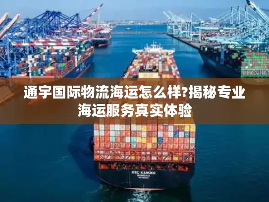 通宇国际物流海运怎么样?揭秘专业海运服务真实体验