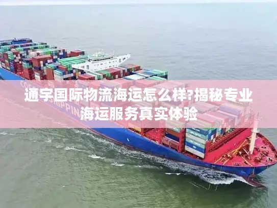 通宇国际物流海运怎么样?揭秘专业海运服务真实体验