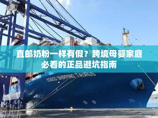 直邮奶粉一样有假？跨境母婴家庭必看的正品避坑指南