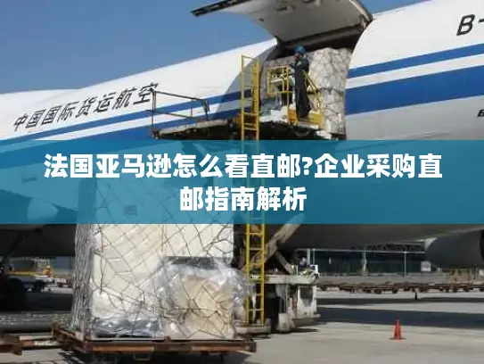 法国亚马逊怎么看直邮?企业采购直邮指南解析