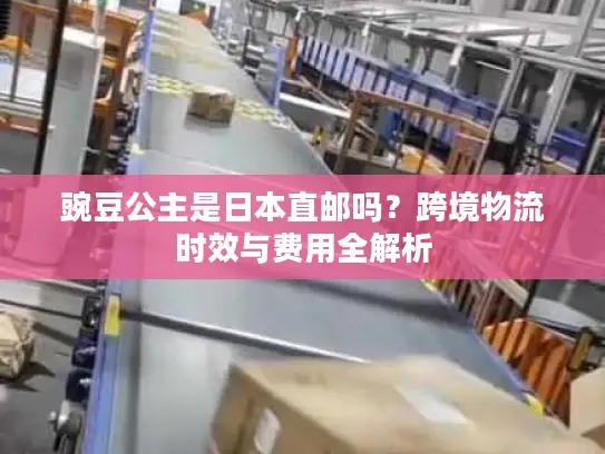 豌豆公主是日本直邮吗？跨境物流时效与费用全解析