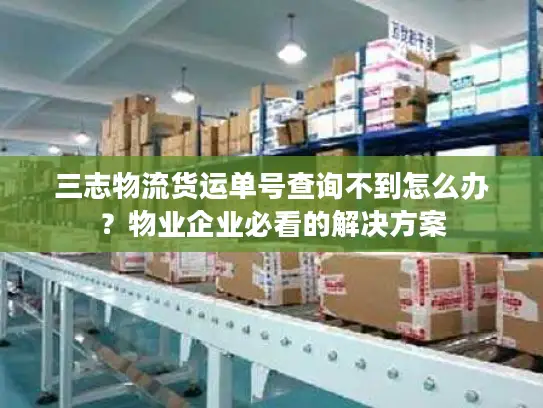 三志物流货运单号查询不到怎么办？物业企业必看的解决方案