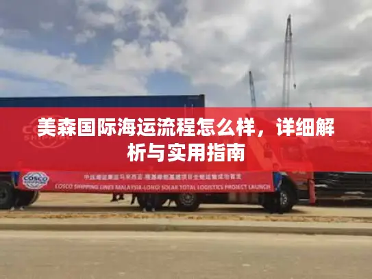 美森国际海运流程怎么样，详细解析与实用指南