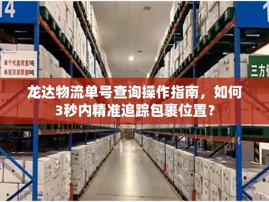 龙达物流单号查询操作指南，如何3秒内精准追踪包裹位置？