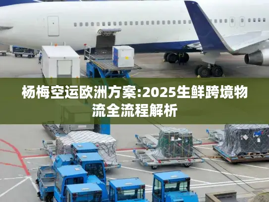 杨梅空运欧洲方案:2025生鲜跨境物流全流程解析