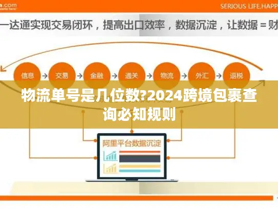 物流单号是几位数?2024跨境包裹查询必知规则
