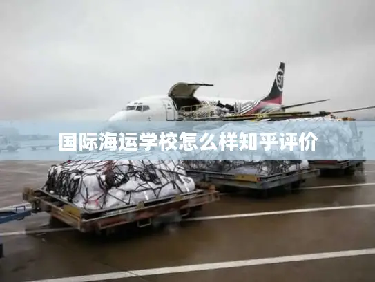 国际海运学校怎么样知乎评价