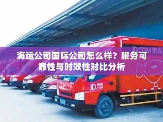 海运公司国际公司怎么样？服务可靠性与时效性对比分析