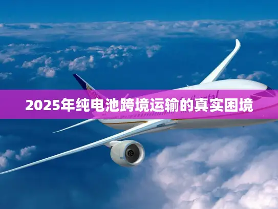 2025年纯电池跨境运输的真实困境