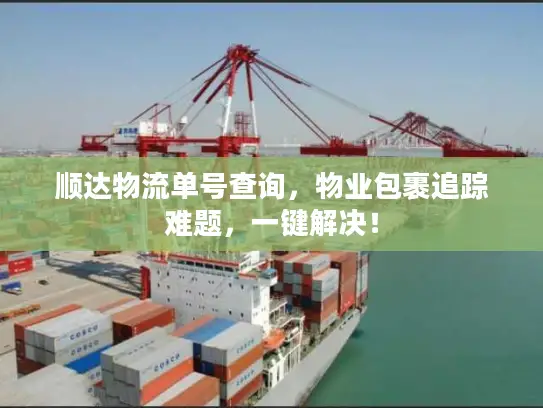 顺达物流单号查询，物业包裹追踪难题，一键解决！